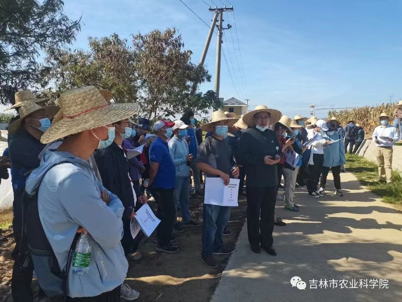市農(nóng)科院科研人員參加海南“生物育種品種觀摩與技術(shù)交流”研討會